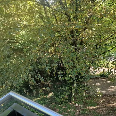 Sewer * באדן-באדן