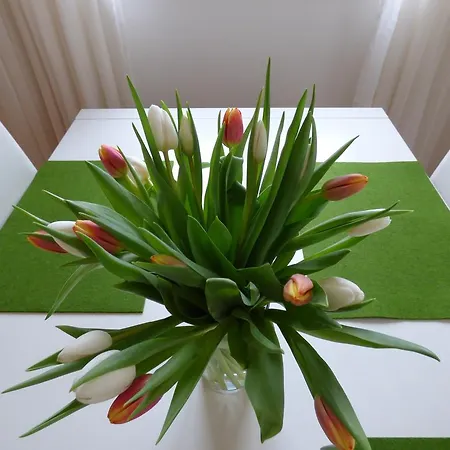 Sewer דירה באדן-באדן