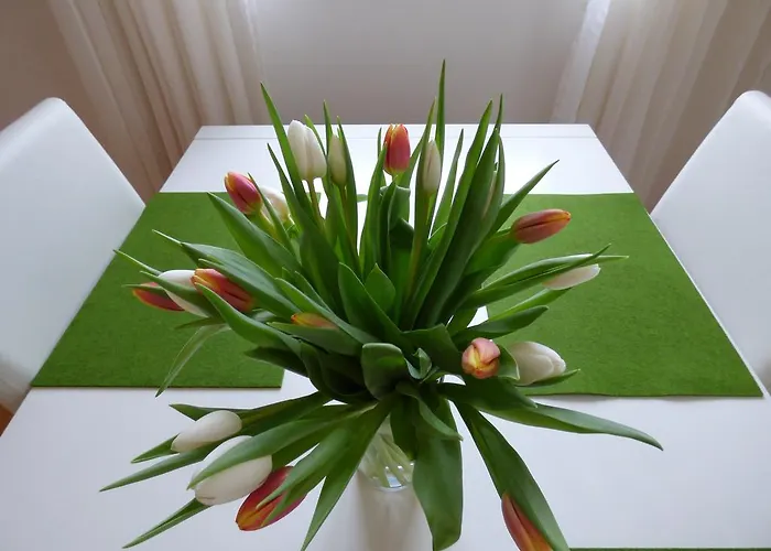 سيوير شقة بادن بادن